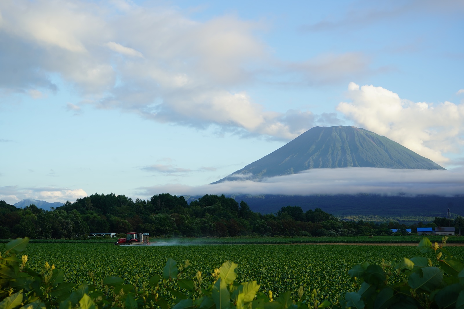 Mt Yōtei from a distance